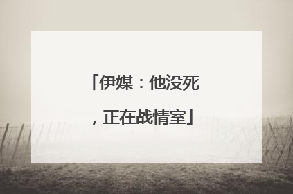伊媒：他没死，正在战情室
