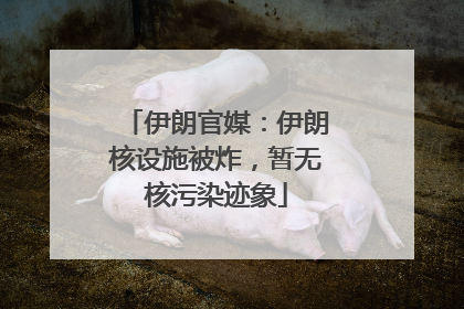 伊朗官媒：伊朗核设施被炸，暂无核污染迹象