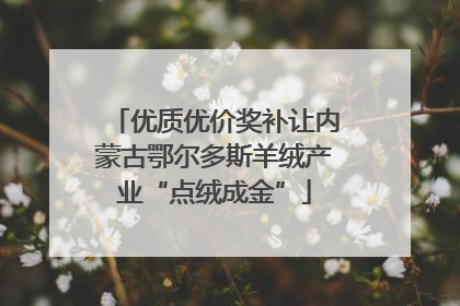 优质优价奖补让内蒙古鄂尔多斯羊绒产业“点绒成金”