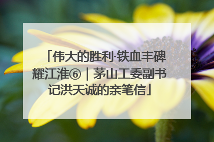伟大的胜利·铁血丰碑耀江淮⑥｜茅山工委副书记洪天诚的亲笔信