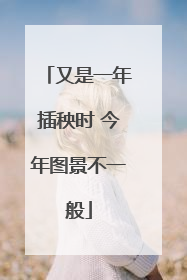 又是一年插秧时 今年图景不一般