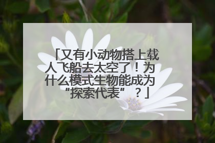 又有小动物搭上载人飞船去太空了！为什么模式生物能成为“探索代表”？