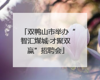 双鸭山市举办“智汇煤城·才聚双赢”招聘会