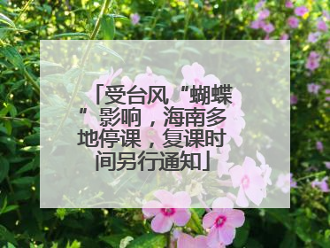 受台风“蝴蝶”影响，海南多地停课，复课时间另行通知