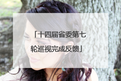 十四届省委第七轮巡视完成反馈