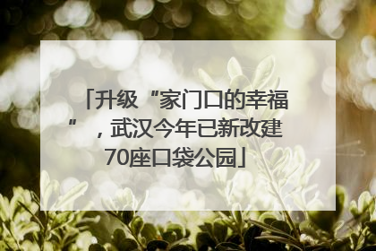 升级“家门口的幸福”，武汉今年已新改建70座口袋公园