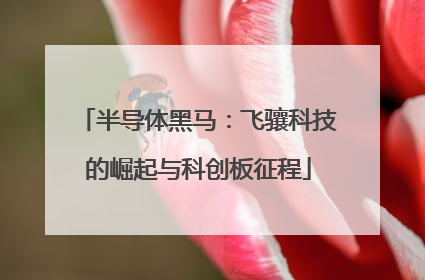 半导体黑马：飞骧科技的崛起与科创板征程