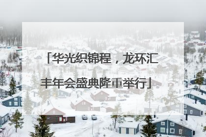 华光织锦程，龙环汇丰年会盛典隆重举行