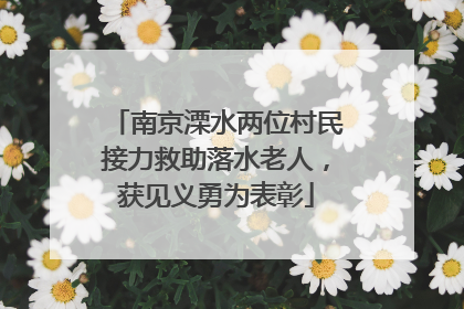 南京溧水两位村民接力救助落水老人，获见义勇为表彰
