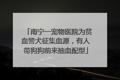 南宁一宠物医院为贫血警犬征集血源，有人带狗狗前来抽血配型
