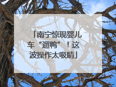 南宁惊现婴儿车“遛鸭”！这波操作太吸睛