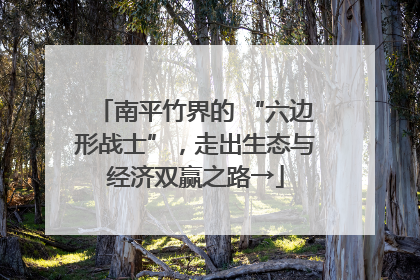 南平竹界的 “六边形战士”，走出生态与经济双赢之路→