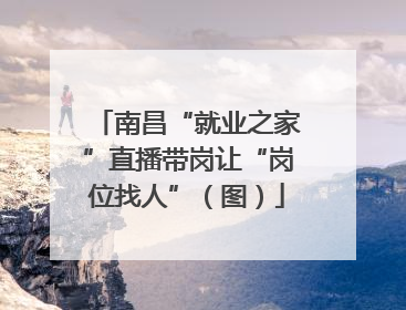 南昌“就业之家”直播带岗让“岗位找人”（图）