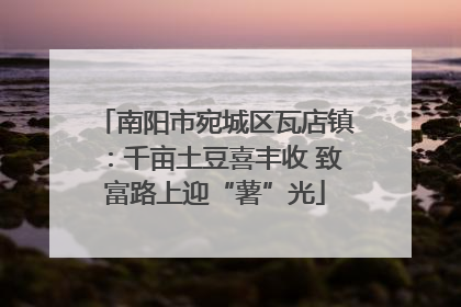 南阳市宛城区瓦店镇：千亩土豆喜丰收 致富路上迎“薯”光