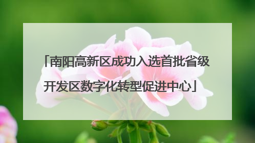 南阳高新区成功入选首批省级开发区数字化转型促进中心