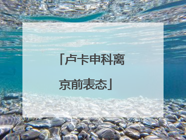 卢卡申科离京前表态