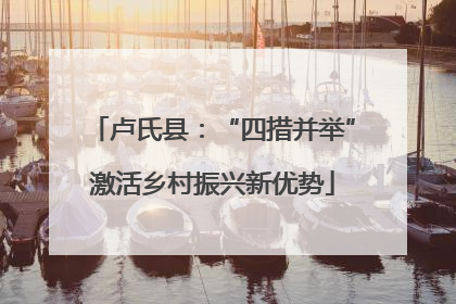 卢氏县：“四措并举”激活乡村振兴新优势