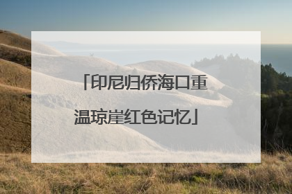印尼归侨海口重温琼崖红色记忆