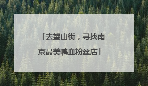 去望山街，寻找南京最美鸭血粉丝店