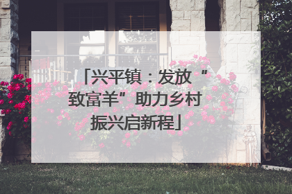 兴平镇：发放“致富羊”助力乡村振兴启新程