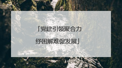 党建引领聚合力 纾困解难促发展