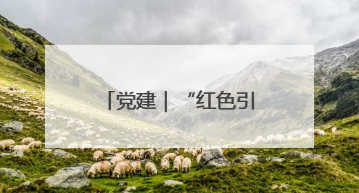党建｜“红色引擎”助民企发展驶入“快车道”