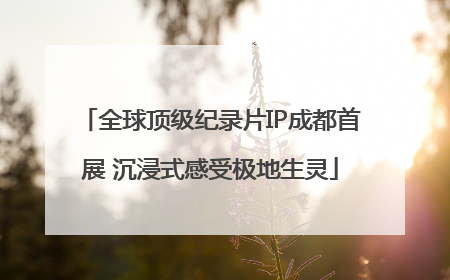 全球顶级纪录片IP成都首展 沉浸式感受极地生灵