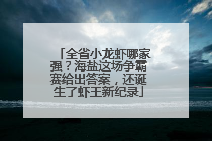 全省小龙虾哪家强？海盐这场争霸赛给出答案，还诞生了虾王新纪录