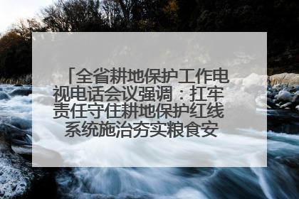 全省耕地保护工作电视电话会议强调：扛牢责任守住耕地保护红线 系统施治夯实粮食安全根基 王宁作出批示 王予波出席并讲话