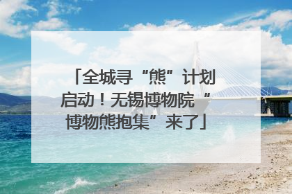 全城寻“熊”计划启动！无锡博物院“博物熊抱集”来了
