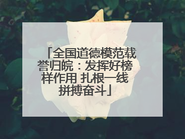 全国道德模范载誉归皖：发挥好榜样作用 扎根一线拼搏奋斗