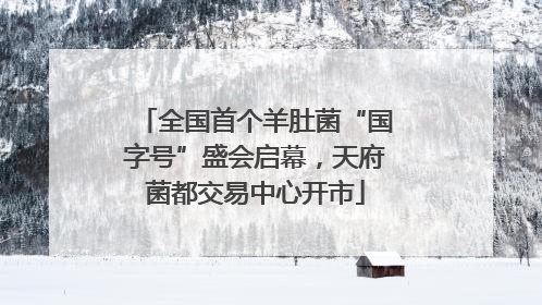 全国首个羊肚菌“国字号”盛会启幕，天府菌都交易中心开市