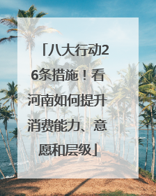 八大行动26条措施！看河南如何提升消费能力、意愿和层级