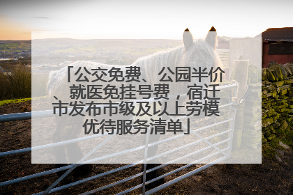 公交免费、公园半价、就医免挂号费，宿迁市发布市级及以上劳模优待服务清单