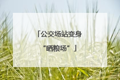 公交场站变身“晒粮场”