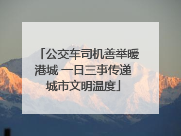 公交车司机善举暖港城 一日三事传递城市文明温度
