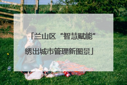 兰山区“智慧赋能”绣出城市管理新图景