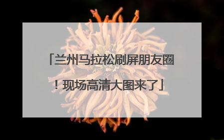 兰州马拉松刷屏朋友圈！现场高清大图来了