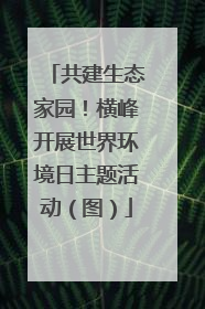 共建生态家园！横峰开展世界环境日主题活动（图）