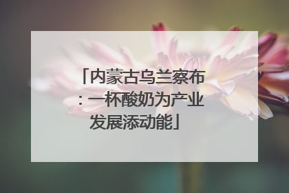 内蒙古乌兰察布：一杯酸奶为产业发展添动能
