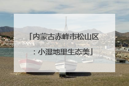 内蒙古赤峰市松山区：小湿地里生态美