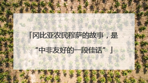 冈比亚农民穆萨的故事，是“中非友好的一段佳话”