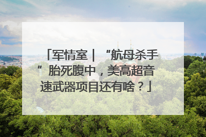 军情室｜“航母杀手”胎死腹中，美高超音速武器项目还有啥？