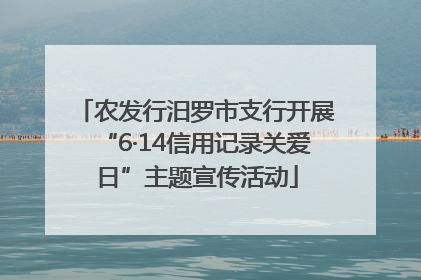 农发行汨罗市支行开展“6·14信用记录关爱日”主题宣传活动