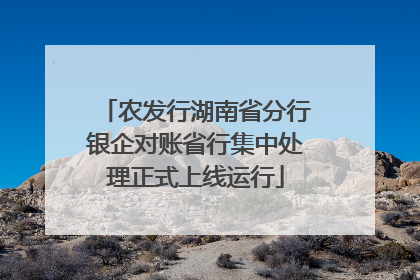 农发行湖南省分行银企对账省行集中处理正式上线运行