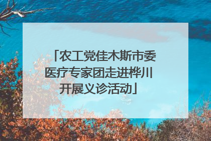 农工党佳木斯市委医疗专家团走进桦川开展义诊活动