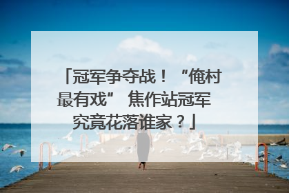 冠军争夺战！“俺村最有戏” 焦作站冠军究竟花落谁家？