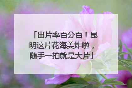 出片率百分百！昆明这片花海美炸啦，随手一拍就是大片