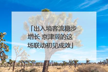出入境客流稳步增长 京津冀的这场联动初见成效