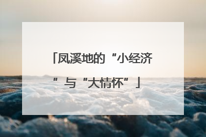凤溪地的“小经济”与“大情怀”
